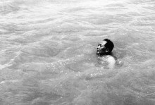 1956年6月，毛主席横渡长江